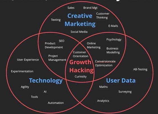 The maze of Growth Hacking skills and techniques